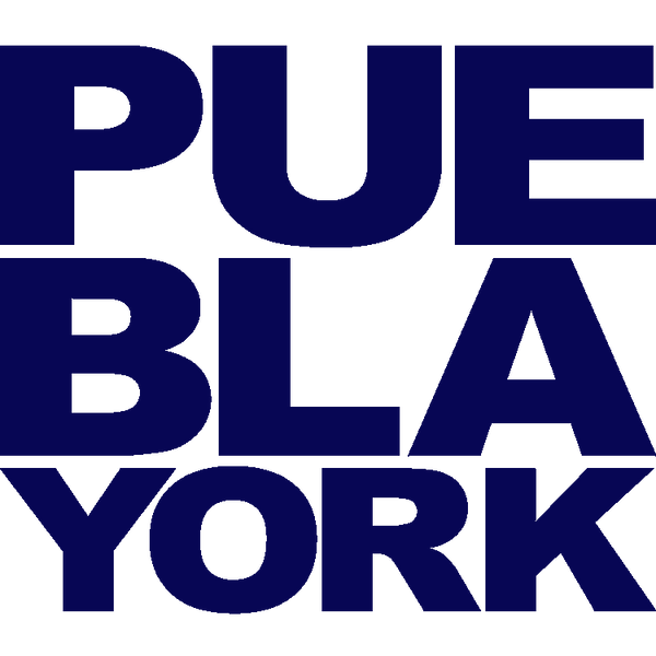 Puebla York NYC LLC
